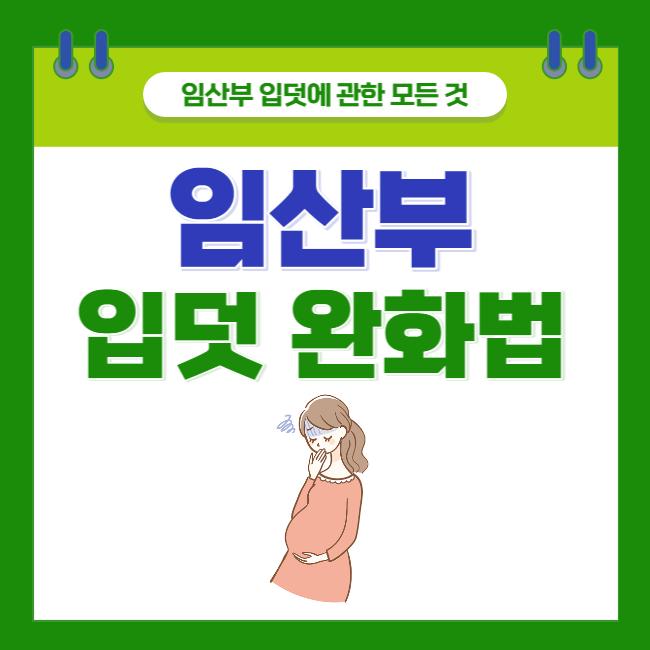  [임산부 입덧에 관한 모든 것] 입덧 완화 비법 총정리