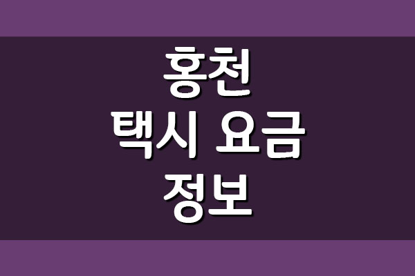  홍천 택시 요금 택시비 정보 보기