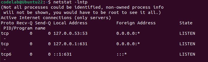 netstat -lntp