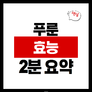 푸룬 효능