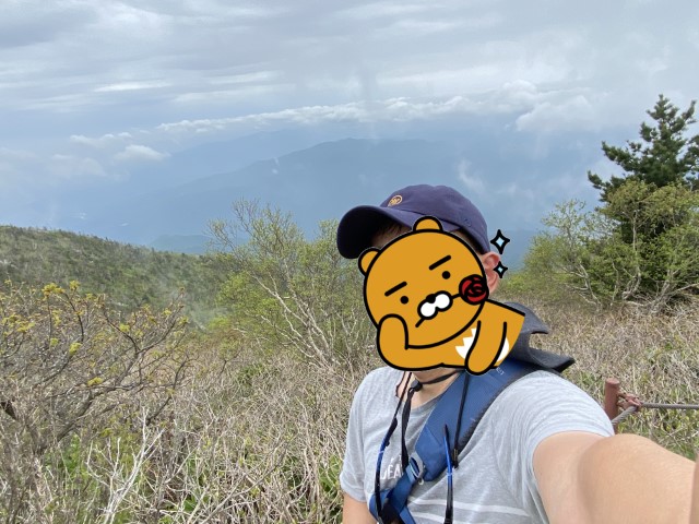 흐린 곰탕