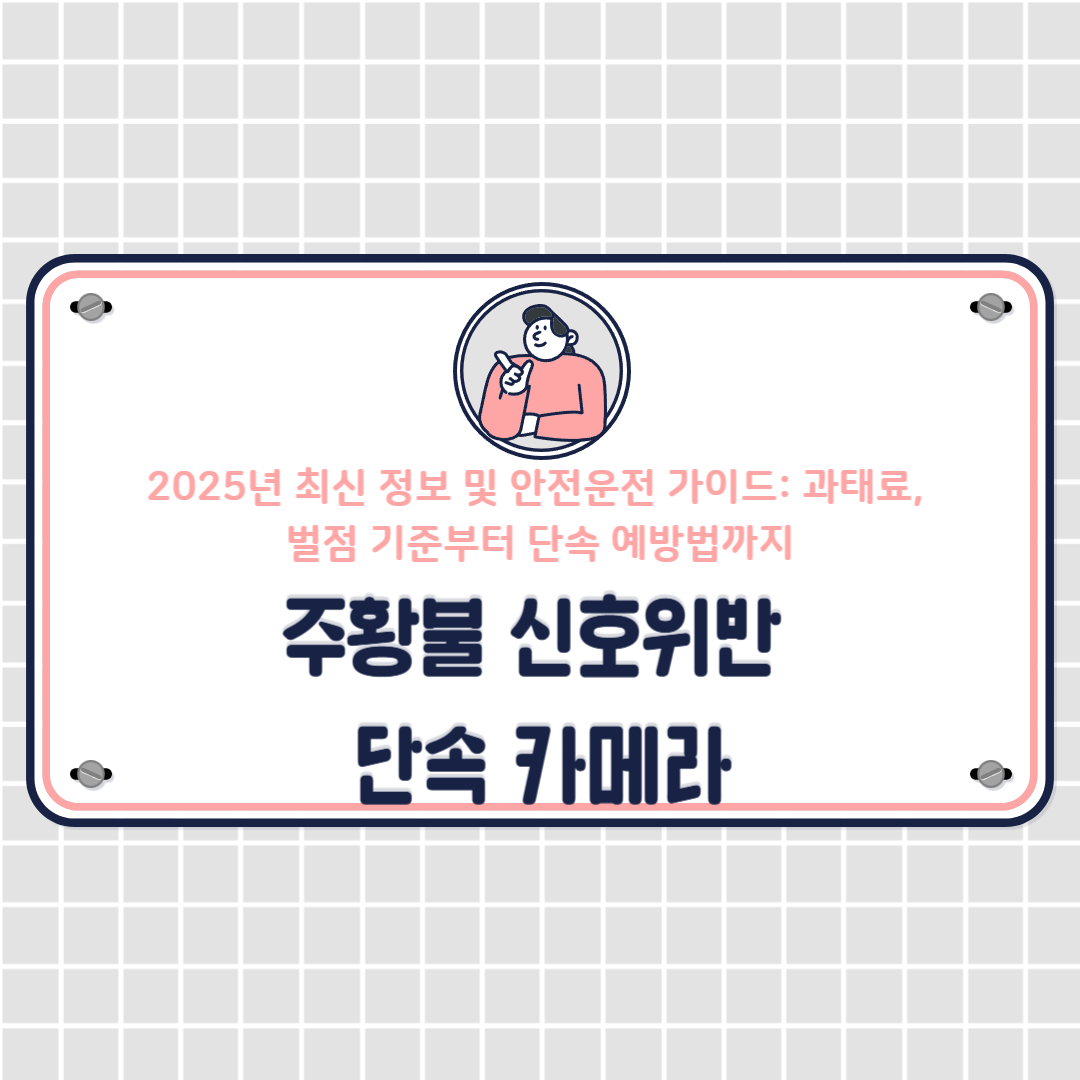 주황불에서 신호위반 단속 카메라(과태료, 벌점, 예방법)