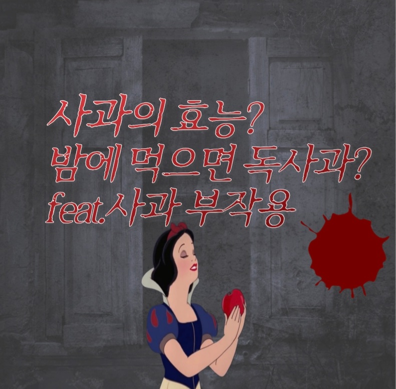  우리가 몰랐던 사과의 놀라운 효능 feat.부작용
