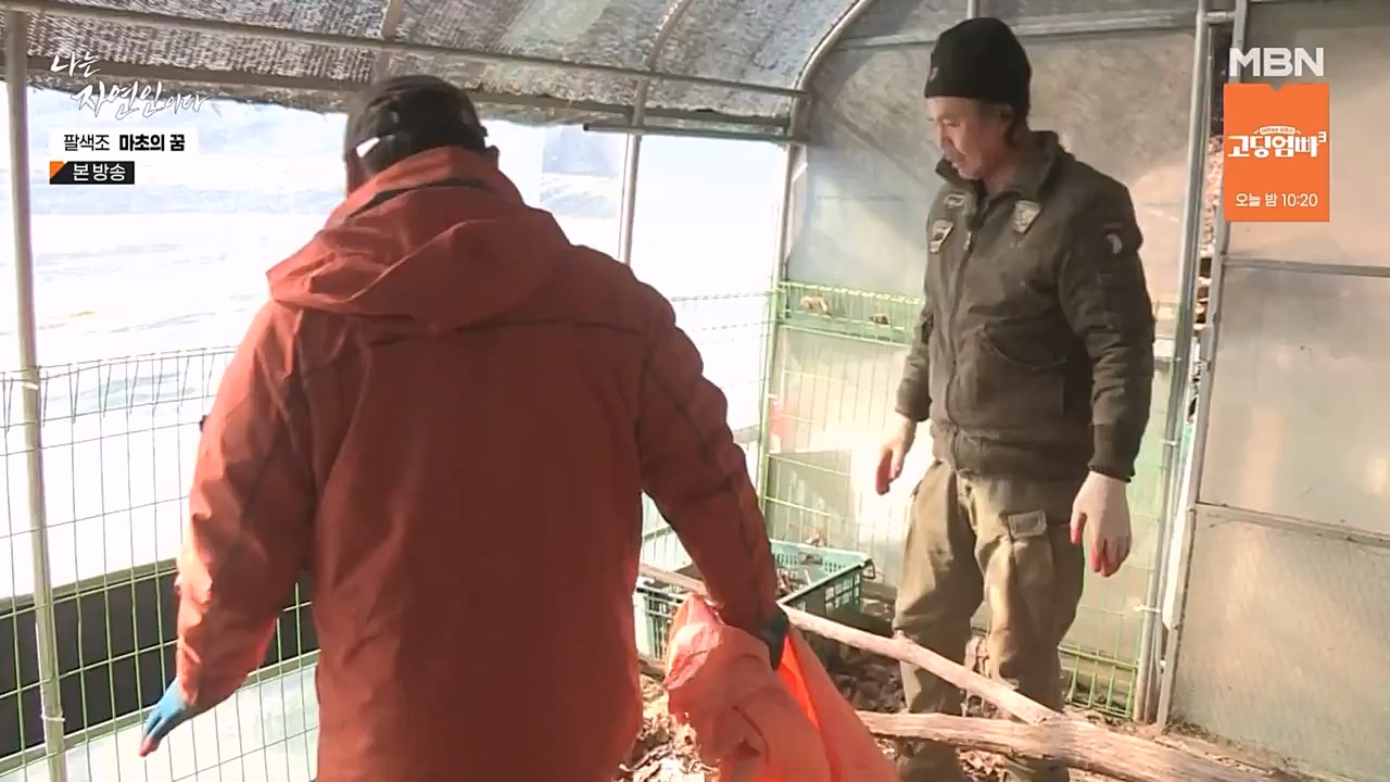 나는 자연인이다.E544.230309p-NEXT.mp4_20230309_191745.605.jpg