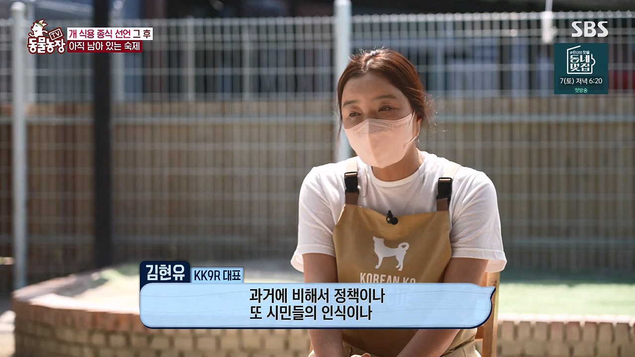 TV 동물농장.E1187.240902p-NEXT.mp4_20240901_155516.645.jpg