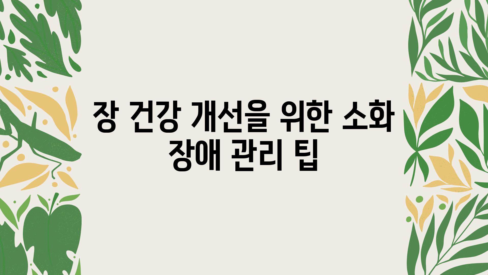 장 건강 개선을 위한 소화 장애 관리 팁