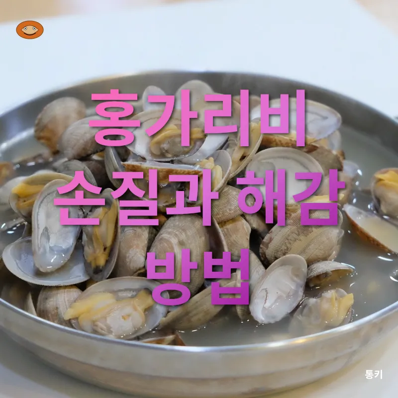 홍가리비 요리_1