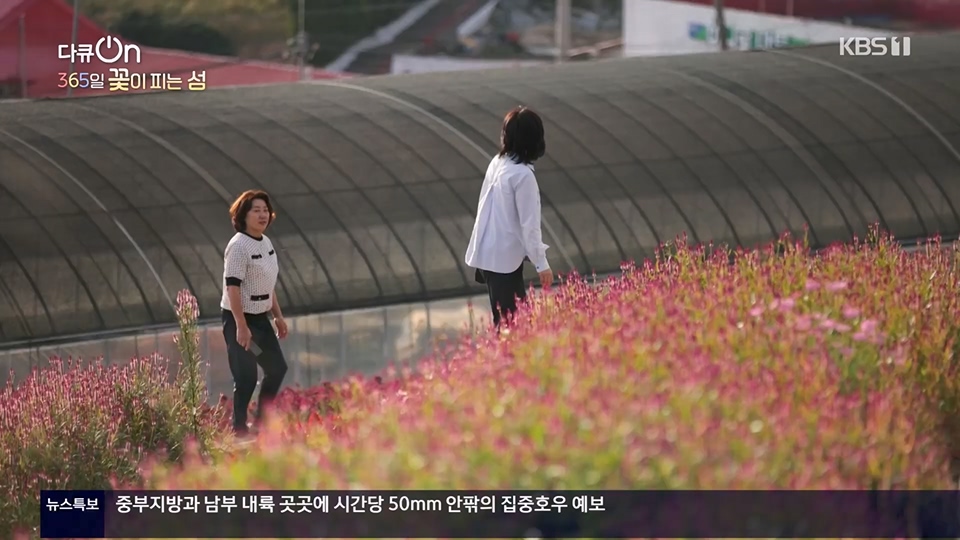 다큐 On.E201.230610p.H264-F1RST.mp4_20230611_165945.518.jpg