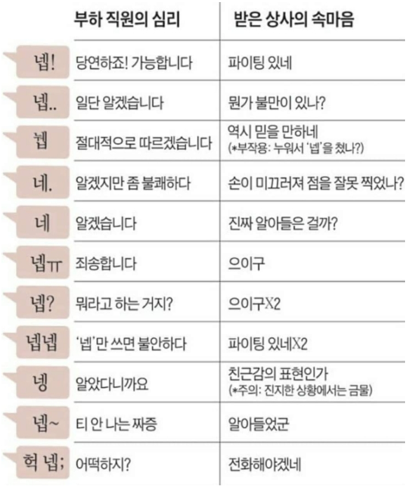  흔한 네 사용법ㅋㅋㅋㅋ