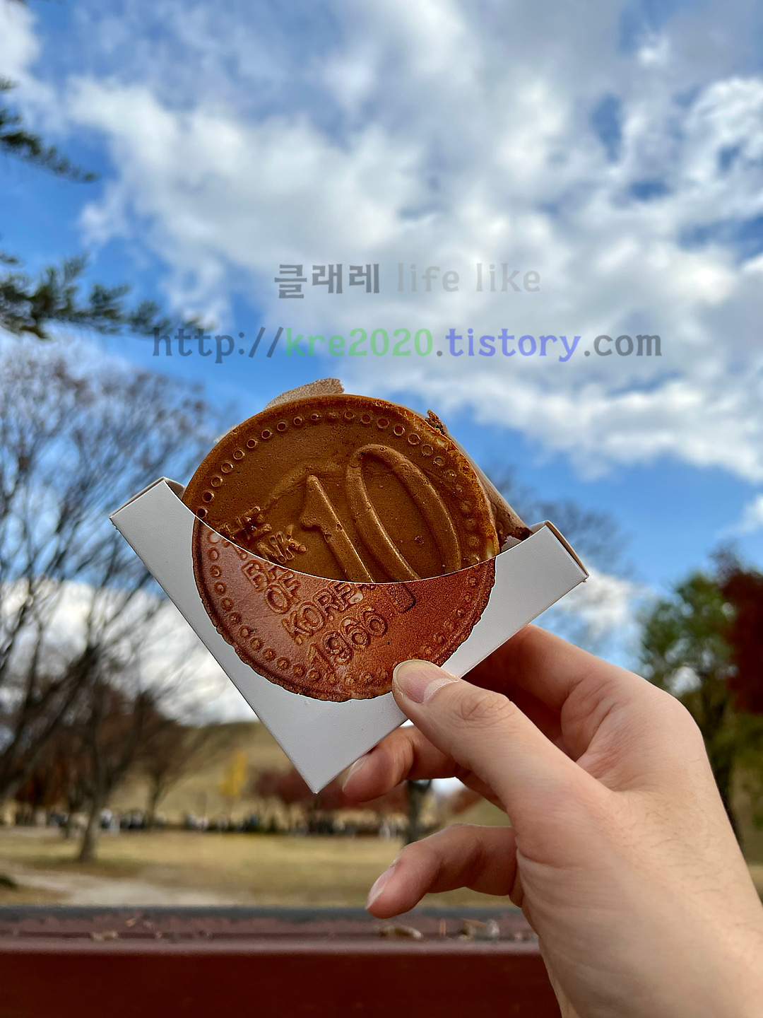  클래레의 계획러(쏘카) 경주여행 2일차(20221118~20221120) #3-2