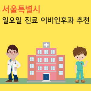 서울 강남구 일요일 이비인후과 진료 병원 추천