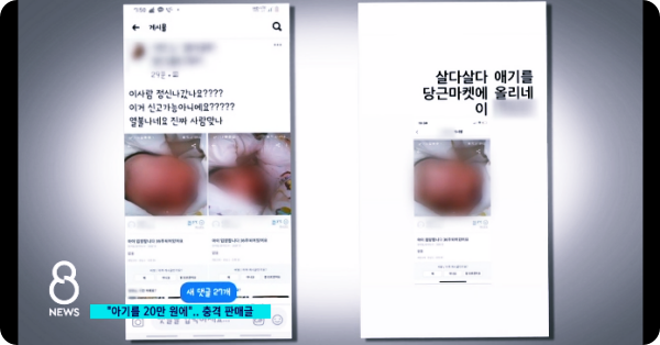  제주 당근마켓에 '36주 아기 20만원 판매글' 올린 미혼모의 변명!