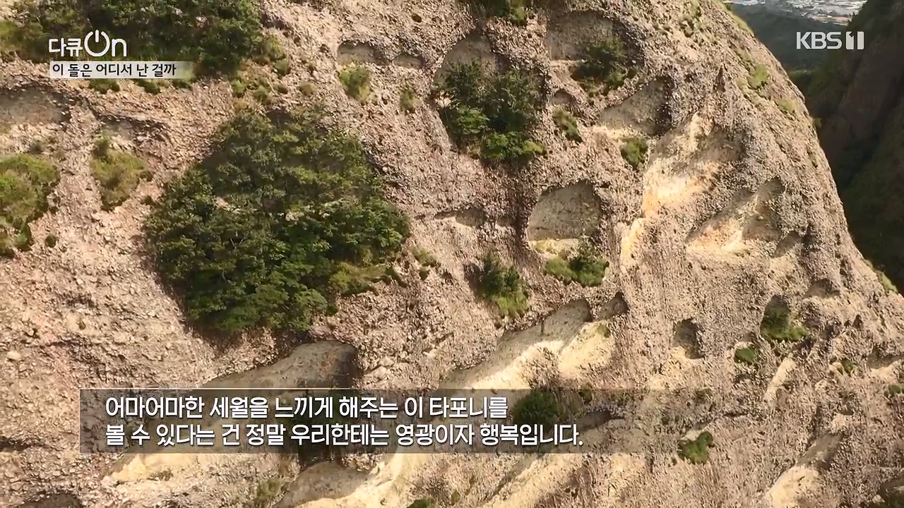 다큐 온.E215.230917p-NEXT.mp4_20230922_212215.624.jpg
