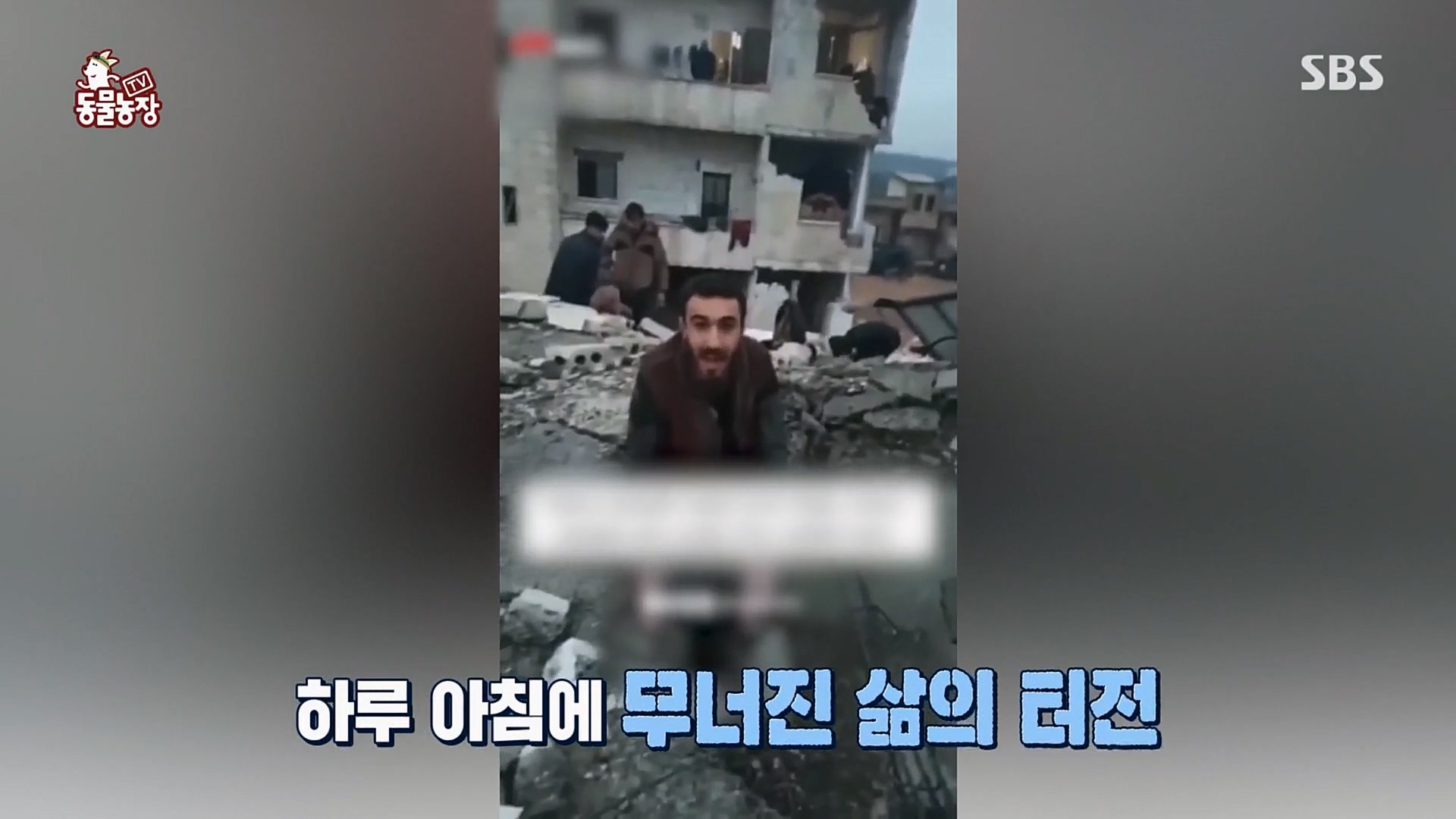 TV 동물농장.E1109.230226p.H264-F1RST.mp4_20230226_161907.848.jpg