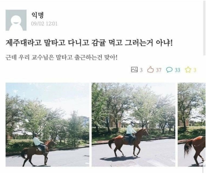  말타고 다니는 제주대 교수님.jpg