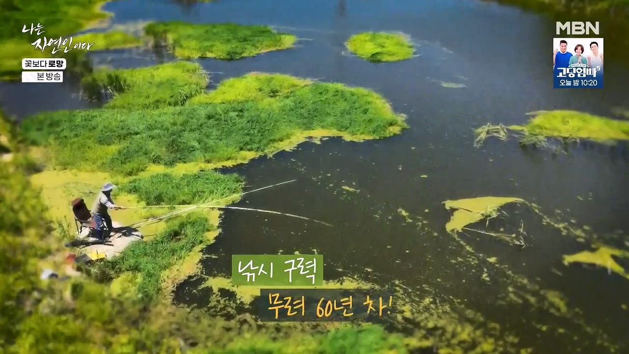 나는 자연인이다.E608.240606p-NEXT.mp4_20240606_164037.062.jpg