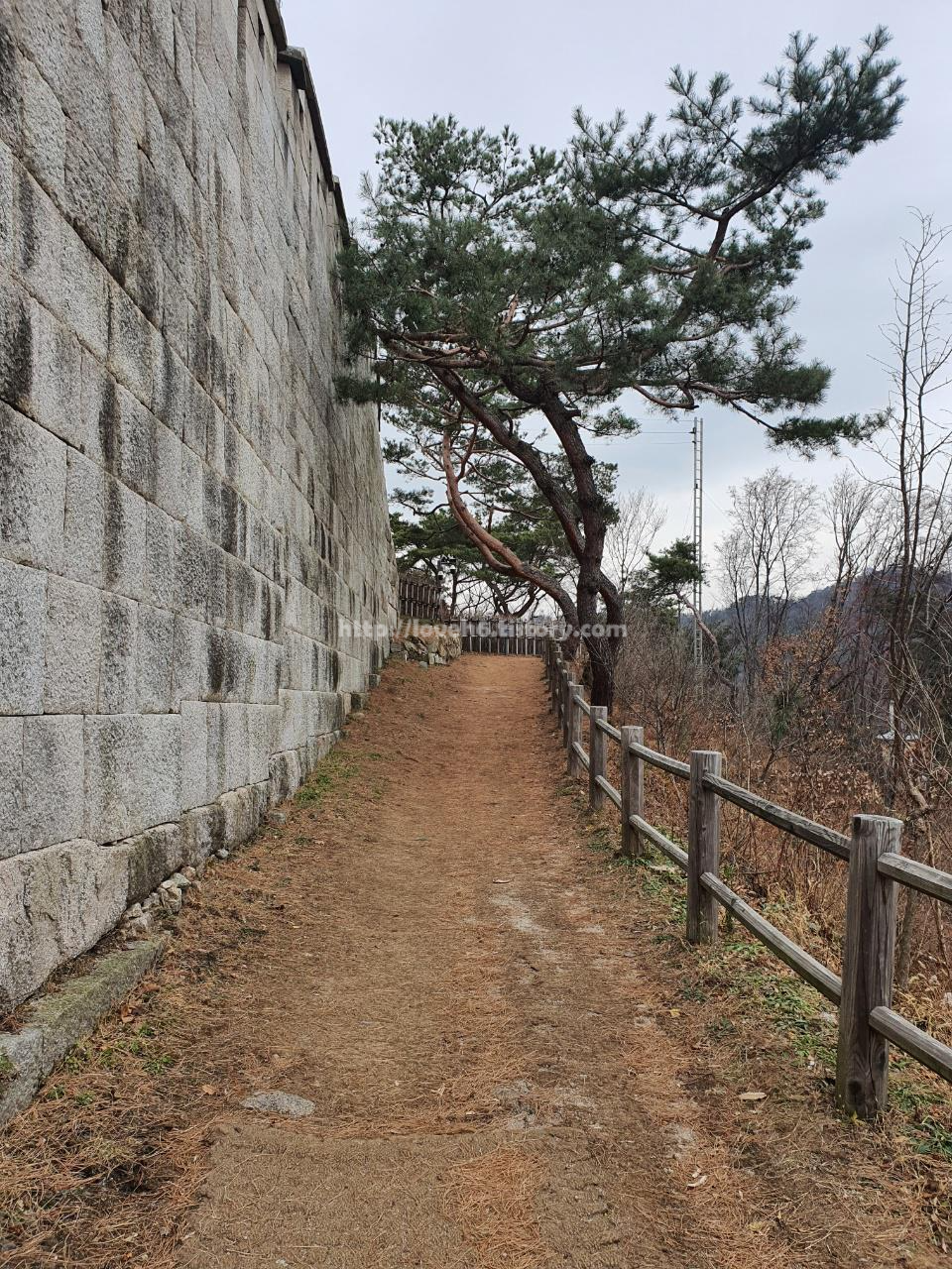 북악산_北岳山_Bukaksan/요 길 끝에 있어요

잠시 앉아 쉬어갔네요^^;;

저질체력 하하