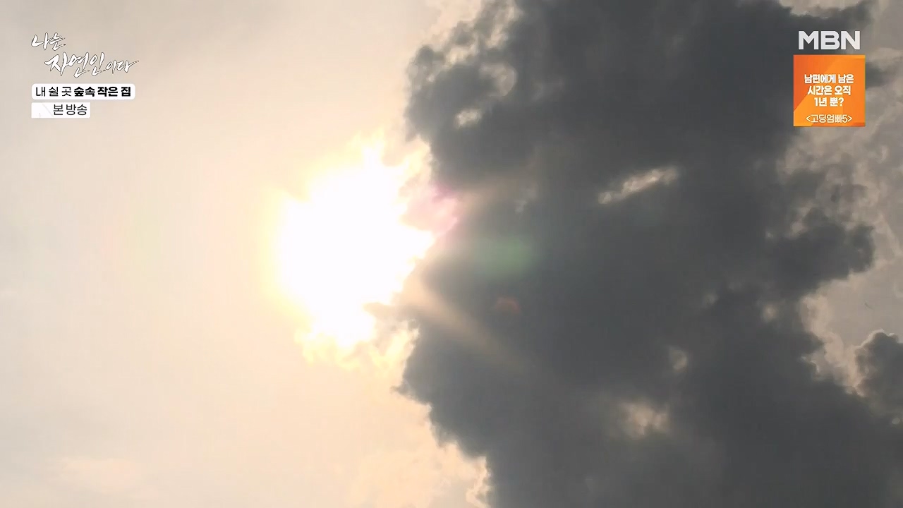 나는 자연인이다.E613.240711p-NEXT.mp4_20240711_195302.874.jpg