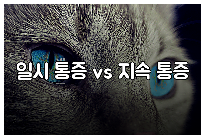 일시 통증 vs 지속 통증