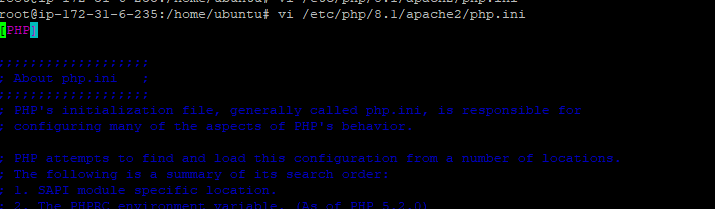 /etc/php/8.1/apache2/php.ini 파일을 vi 편집기로 열어줍니다.



설정 변경
