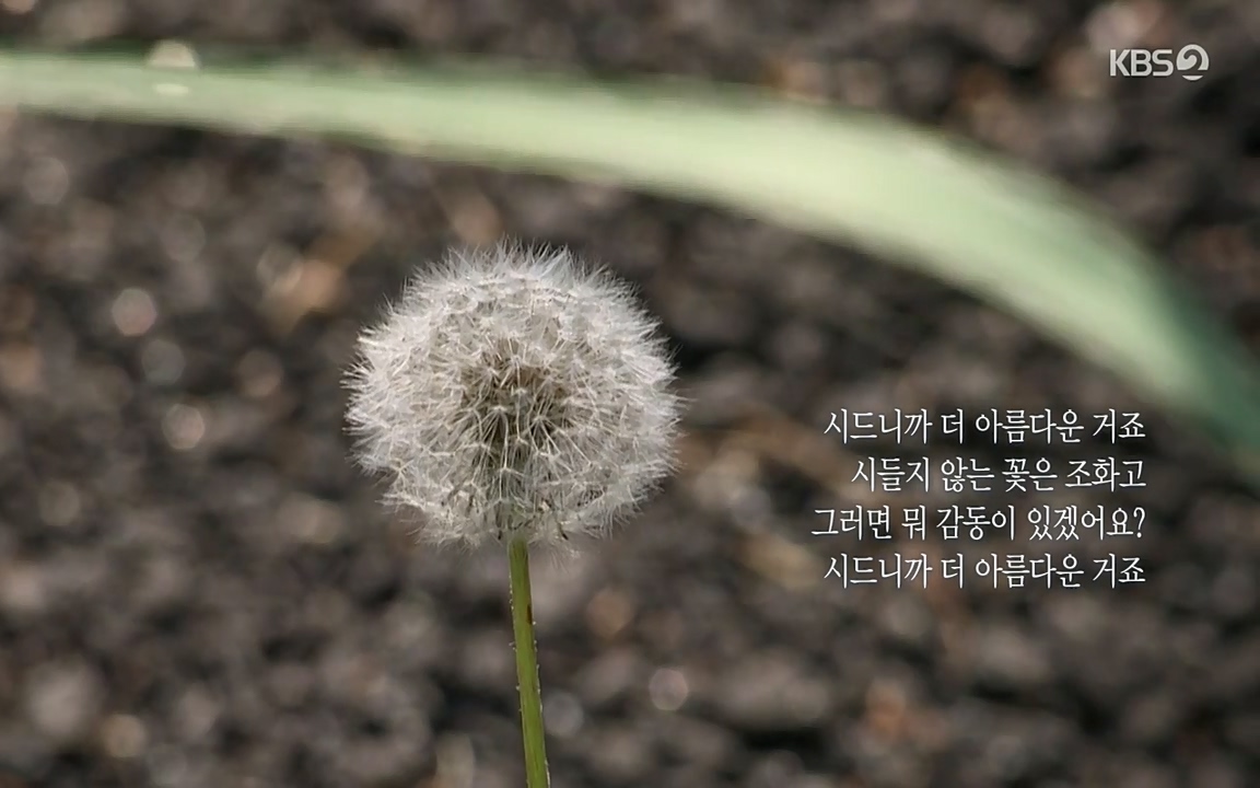 다큐멘터리 3일.E716.220314p-NEXT.mp4_20220315_185339.542.jpg