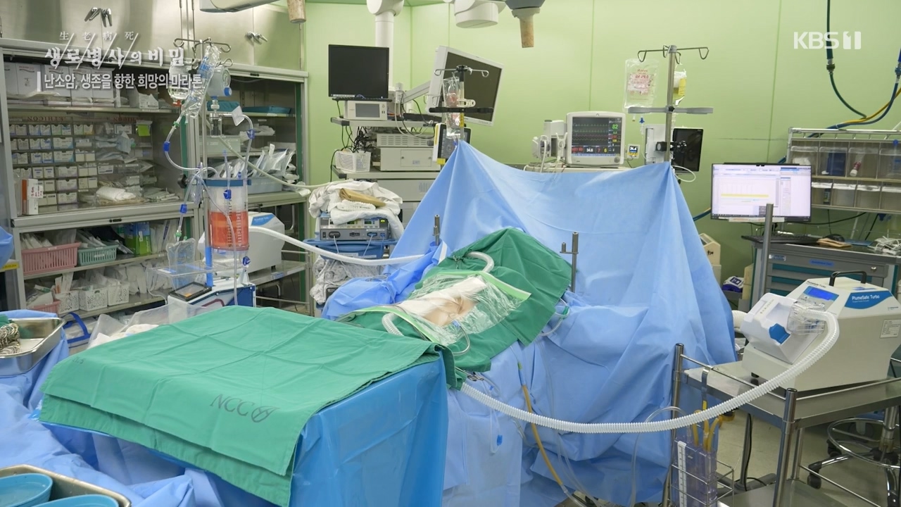 생로병사의 비밀.E878.230803p-NEXT.mp4_20230805_155635.544.jpg