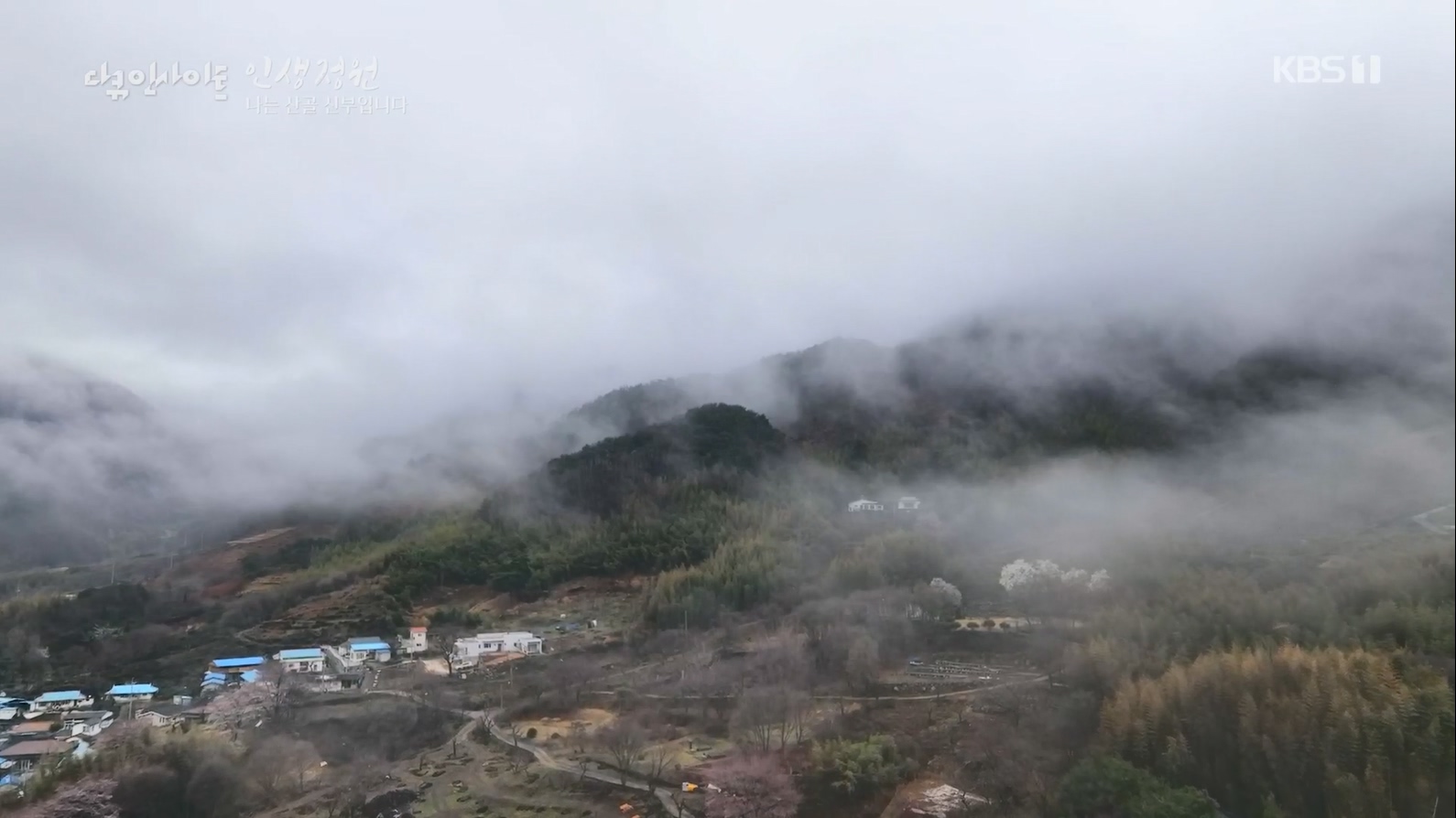 다큐 인사이트.E153.230608p.H264-F1RST.mp4_20230612_204043.763.jpg