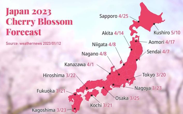 일본 벚꽃 명소 ② (규슈·나고야·훗카이도) 개화일