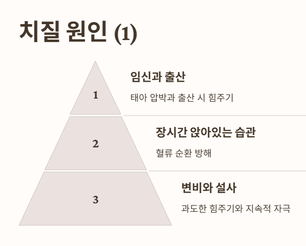 치질 원인: 왜 생길까? 