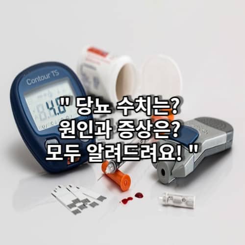 당뇨 총정리 썸네일 이미지