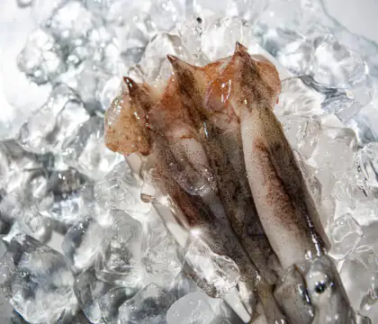 수산대전-조기설할인