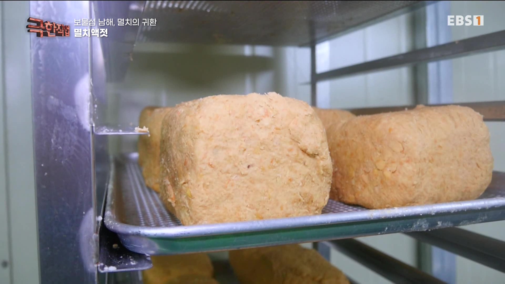 극한 직업 - 보물섬 남해, 멸치의 귀환 1080p.mp4_20230612_202049.081.jpg