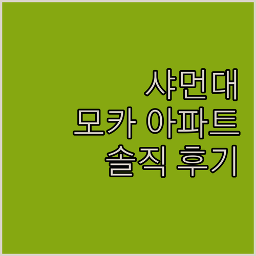 샤먼대학 모카 아파트 솔직 후기 스마