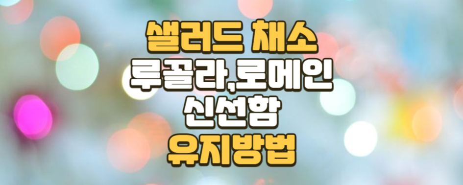 샐러드 채소 루꼴라와 로메인, 신선함을 유지하며 즐기는 방법
샐러드 채소는 건강한 식단을 유지하는 데 필수적인 재료입니다. 특히 루꼴라와 로메인은 샐러드의 맛과 영양을 한층 더 풍부하게 만들어주는 대표적인 채소인데요. 하지만 신선도가 중요한 채소인 만큼, 제대로 관리하지 않으면 금방 시들거나 품질이 저하될 수 있습니다.

많은 분들이 샐러드 채소를 구매한 뒤 보관과 섭취 과정에서 어려움을 겪곤 합니다. 오늘은 루꼴라와 로메인을 더 맛있고 신선하게 즐길 수 있는 보관 및 섭취 팁을 소개해 드리겠습니다. 이 글을 읽으시면 채소가 더 이상 금방 시드는 골칫거리가 아니라, 오래도록 건강한 식탁을 책임지는 소중한 재료가 될 것입니다.

왜 루꼴라와 로메인이 특별한가요?
루꼴라의 매력과 영양
루꼴라는 고소하면서도 살짝 매콤한 맛이 특징인 잎채소입니다. 이 독특한 풍미 덕분에 샐러드뿐만 아니라 피자, 파스타, 샌드위치 등 다양한 요리에 활용됩니다. 특히 루꼴라는 비타민 A, C, K가 풍부하여 면역력 강화와 피부 건강에 도움을 줍니다. 항산화 성분도 많아 노화 방지 효과가 있으며, 체내 염증을 줄이는 데에도 긍정적인 영향을 미칩니다.

루꼴라는 단순히 맛있을 뿐만 아니라 건강에도 큰 도움을 주는 채소입니다. 특히 다이어트를 하거나 건강한 식습관을 유지하고자 하는 분들에게 필수적인 재료로 꼽힙니다.

로메인의 아삭아삭함과 건강 효과
로메인은 부드럽고 아삭한 식감이 특징으로, 시저 샐러드의 필수 재료로 잘 알려져 있습니다. 로메인은 칼륨, 엽산, 식이섬유가 풍부하여 소화 건강에 도움을 주고, 심혈관 건강에도 긍정적인 영향을 미칩니다.

특히 로메인은 물을 많이 함유하고 있어 수분 섭취에도 좋고, 칼로리가 낮아 다이어트 식단에도 적합합니다. 아삭한 식감 덕분에 샐러드뿐만 아니라 샌드위치나 랩 요리에도 잘 어울리는 채소입니다.

신선도를 유지하는 보관 방법
채소의 신선도를 유지하는 것은 단순히 맛을 위해서만이 아니라, 영양소를 최대한 보존하기 위해서도 중요합니다. 루꼴라와 로메인은 특히 물기와 온도에 민감하기 때문에 올바른 보관 방법을 따르는 것이 필수입니다.

신선한 채소를 고르는 방법
신선한 채소를 고르는 것부터 시작해야 합니다. 루꼴라는 잎이 진한 녹색을 띠고, 시들거나 노란빛이 도는 잎은 피하는 것이 좋습니다. 로메인은 잎이 단단하고 끝이 말리지 않으며 갈변되지 않은 것을 선택하세요. 줄기가 너무 얇거나 부러진 경우는 신선도가 떨어질 가능성이 높습니다.

세척 후 물기 제거
채소는 세척 후 물기를 완전히 제거하고 보관하는 것이 신선도를 유지하는 핵심입니다. 루꼴라는 흐르는 물에 가볍게 씻은 후 키친타월로 톡톡 두드려 물기를 제거합니다. 물기가 남아 있으면 금방 시들거나 상할 수 있으니 주의하세요. 로메인도 잎을 한 장씩 분리해 세척한 뒤 물기를 완전히 제거한 후 보관합니다.

적절한 보관 환경
냉장 보관은 루꼴라와 로메인을 신선하게 유지하는 데 가장 좋은 방법입니다. 0~5℃의 냉장 온도에서 보관하면 채소의 신선도가 오래 유지됩니다. 밀폐 용기를 사용하는 것도 좋은 방법인데요, 물기를 제거한 채소를 밀폐 용기에 담아 보관하면 더 오래 싱싱하게 유지됩니다. 용기 바닥에 키친타월을 깔아두면 남은 수분을 흡수해 채소가 더 오래 신선하게 유지됩니다.

또 다른 방법으로는 종이타월을 활용하는 것입니다. 루꼴라와 로메인을 종이타월로 감싼 뒤 비닐봉지에 넣어 보관하면 수분 조절이 잘 되어 신선함이 오래 지속됩니다.

맛있게 섭취하는 팁
채소를 신선하게 보관했다면 이제 맛있게 섭취하는 방법을 알아볼 차례입니다. 루꼴라와 로메인은 다양한 요리에 활용할 수 있어 매일 색다른 메뉴를 즐길 수 있습니다.

루꼴라를 활용한 요리
루꼴라는 샐러드의 주재료로 활용하기에 아주 적합합니다. 루꼴라에 방울토마토, 아보카도, 올리브 오일, 발사믹 식초를 곁들여 간단하면서도 고급스러운 샐러드를 만들어 보세요. 또 구운 피자 위에 신선한 루꼴라를 올리면 색다른 풍미를 즐길 수 있습니다. 이 외에도 파스타에 가볍게 곁들여도 좋고, 샌드위치 재료로도 활용 가능합니다.

로메인을 활용한 요리
로메인은 시저 샐러드의 핵심 재료로 잘 알려져 있습니다. 로메인에 크루통, 파마산 치즈, 시저 드레싱을 곁들이면 클래식한 시저 샐러드가 완성됩니다. 또 로메인 잎에 닭가슴살, 아보카도, 허머스를 넣고 말아 간단한 랩으로 즐길 수도 있습니다. 이 외에도 로메인은 샌드위치에 넣거나 그릴에 살짝 구워 색다른 맛을 내는 데도 적합합니다.

요약표: 루꼴라와 로메인의 보관 및 섭취 팁
항목	내용
신선한 상태	루꼴라는 진한 녹색, 로메인은 단단하고 끝이 말리지 않은 상태가 신선함의 기준입니다.
세척 및 물기 제거	흐르는 물에 세척 후 키친타월로 물기를 완전히 제거해야 신선도가 오래 유지됩니다.
보관 방법	냉장 보관(0~5℃), 밀폐 용기 또는 종이타월로 감싸 비닐봉지에 보관합니다.
활용 요리	루꼴라는 샐러드, 피자, 파스타에 적합하며, 로메인은 시저 샐러드, 랩 요리에 활용됩니다.
추천 키워드
루꼴라 보관법, 로메인 보관법, 샐러드 채소 관리, 루꼴라 요리법, 로메인 활용법, 샐러드 채소 신선도, 건강한 샐러드, 시저 샐러드 레시피, 루꼴라 효능, 로메인 영양소, 채소 냉장 보관, 샐러드 재료 보관, 신선한 채소 고르기, 루꼴라와 로메인 차이, 샐러드 다이어트.