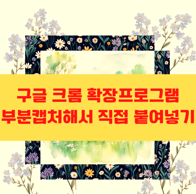 구글 크롬 확장프로그램 부분캡처해서 직접 붙여넣기