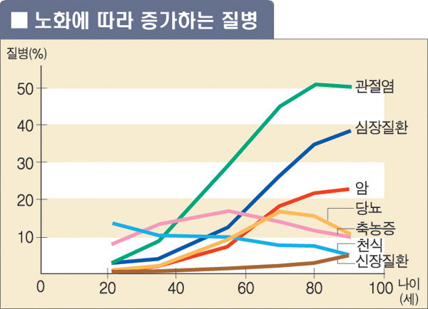 에이징 이미지