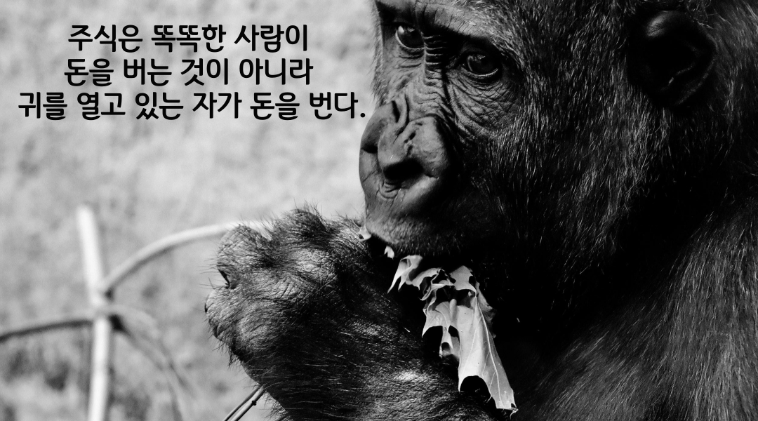  IRA법안 미국 인플레이션 감축법 현대차 배터리 업체 삼성SDI LG에너지솔루션 국내 영향 주식 전망