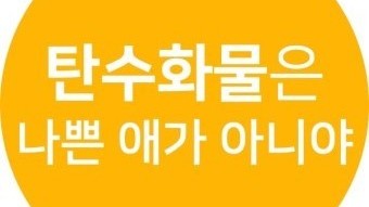 탄수화물의 필요성 , 중요한 탄수화물, 탄수화물의 기능, 탄수화물의 효능, 탄수화물의 효과
