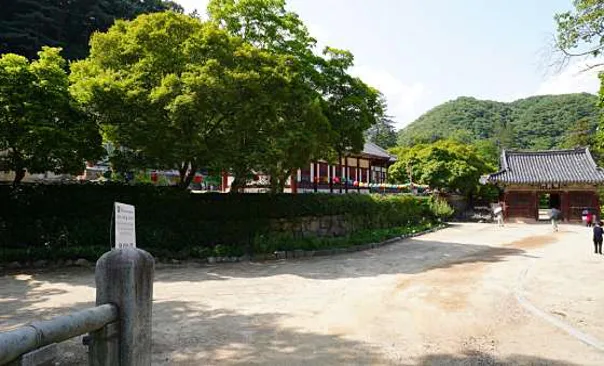 석장리박물관