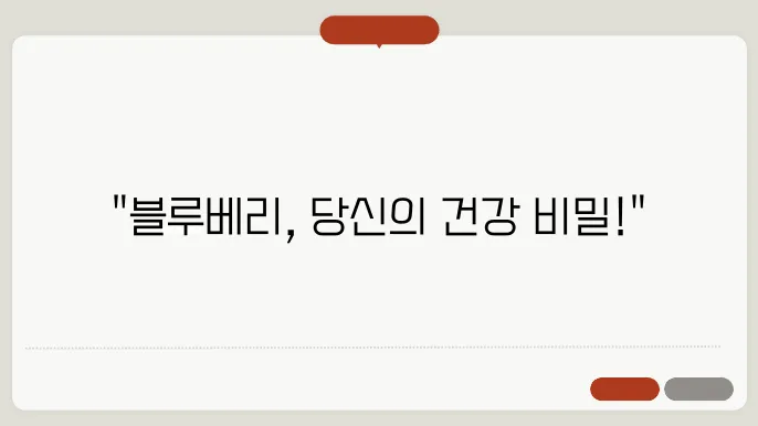 블루베리 효능 부작용! 올바른 섭취방법! 총정리!