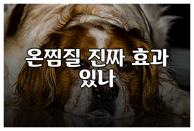 온찜질 진짜 효과 있나