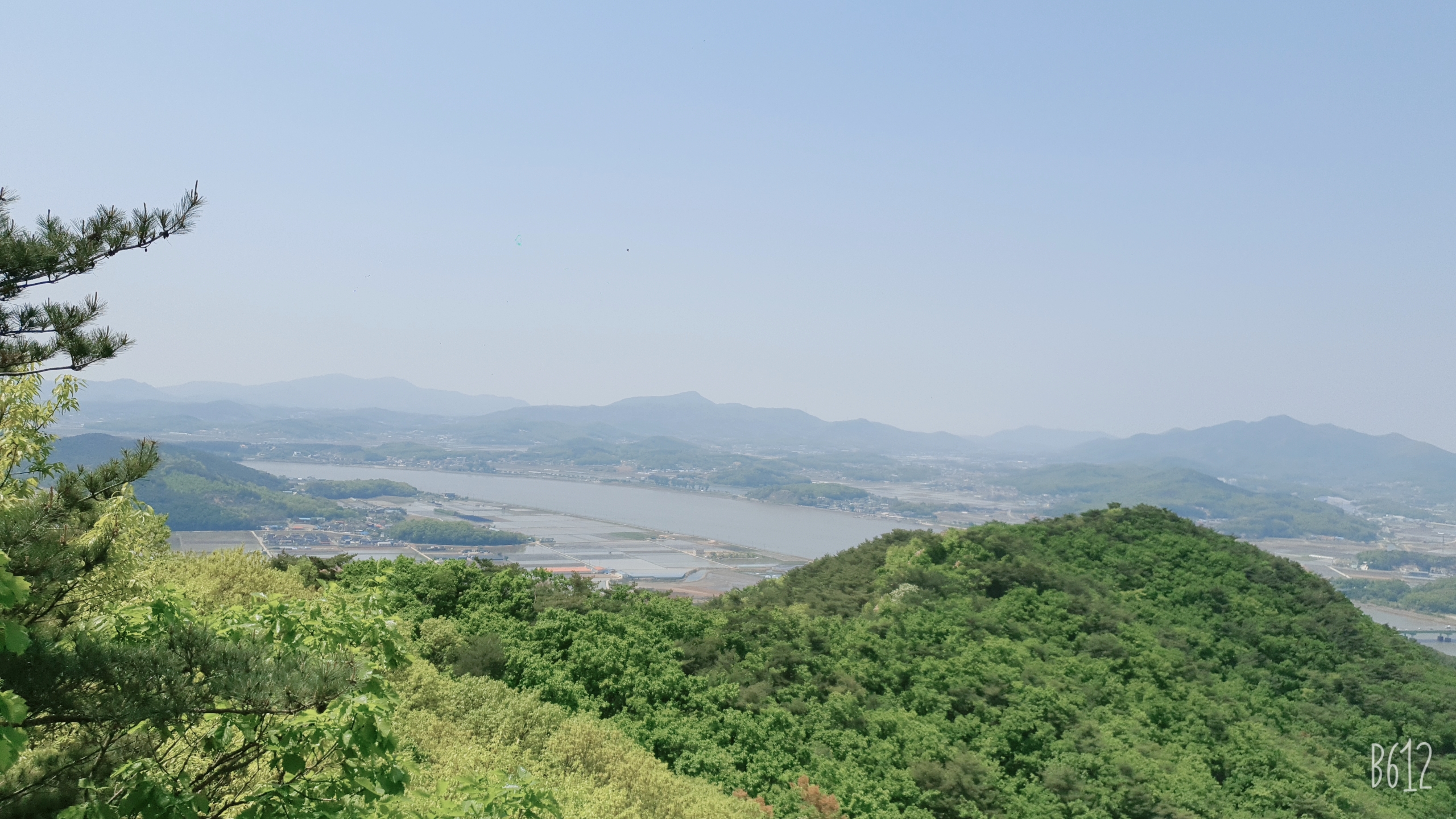 정상 정자 이미지