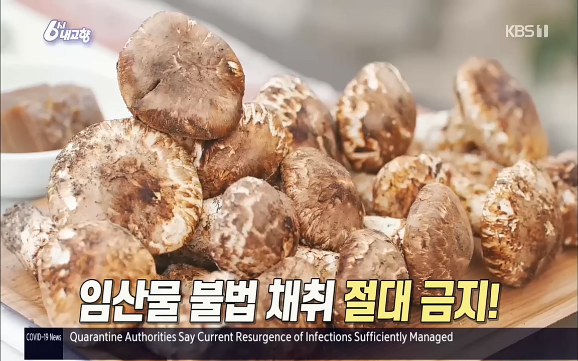 6시 내고향.E7630.221004p.H264-F1RST.mp4_20221004_203213.566.jpg