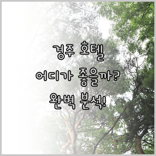 경주 호텔 완벽 분석 코오롱호텔, 사