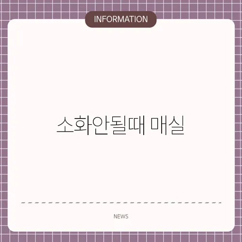 소화안될때 매실