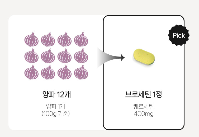 퀘르세틴 양파