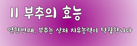  11 부추의 효능 열한번째, 부추는 상처 치유능력이 탁월합니다