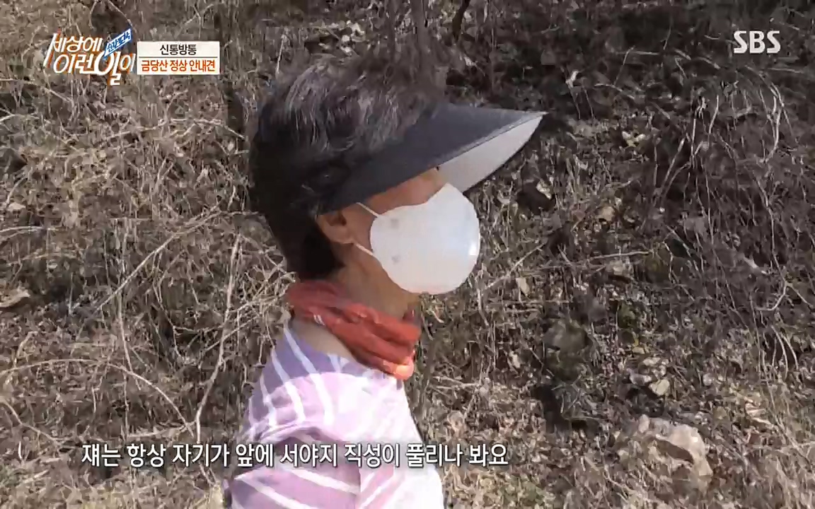 순간포착 세상에 이런일이.E1176.220420p-NEXT.mp4_20220420_175856.637.jpg