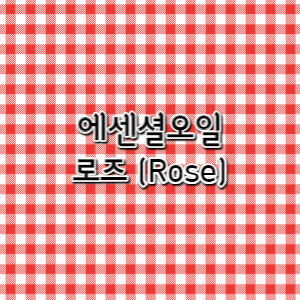 로즈(Rose) 이미지