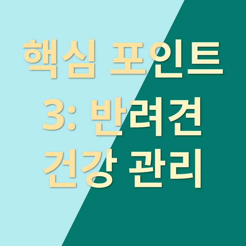 애견 입양_3